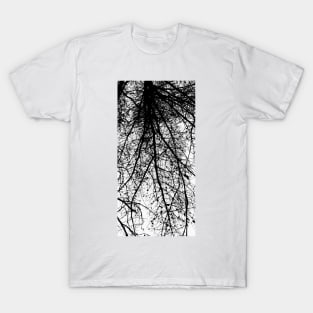 Under the Trees Cont'd T-Shirt